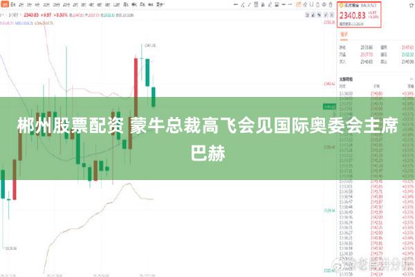 郴州股票配资 蒙牛总裁高飞会见国际奥委会主席巴赫