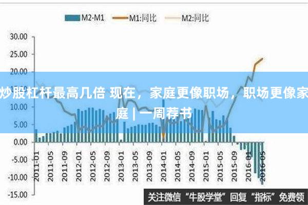 炒股杠杆最高几倍 现在，家庭更像职场，职场更像家庭 | 一周荐书