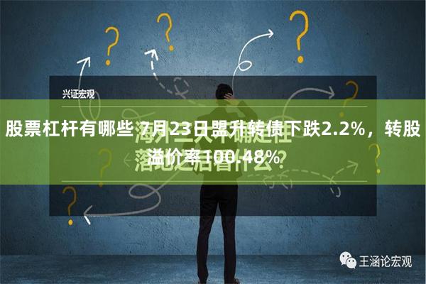 股票杠杆有哪些 7月23日盟升转债下跌2.2%，转股溢价率100.48%