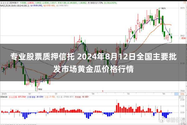 专业股票质押信托 2024年8月12日全国主要批发市场黄金瓜价格行情