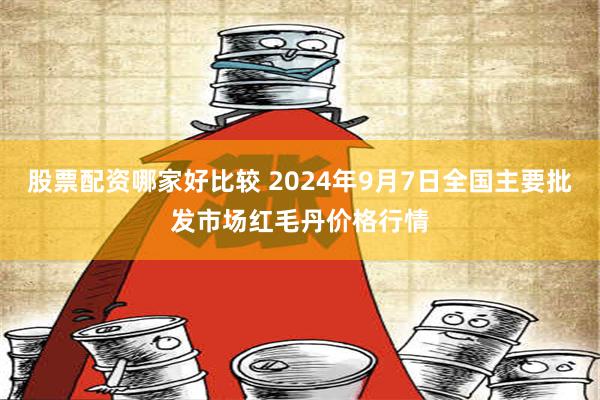 股票配资哪家好比较 2024年9月7日全国主要批发市场红毛丹价格行情