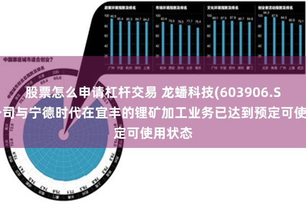 股票怎么申请杠杆交易 龙蟠科技(603906.SH)：公司与宁德时代在宜丰的锂矿加工业务已达到预定可使用状态