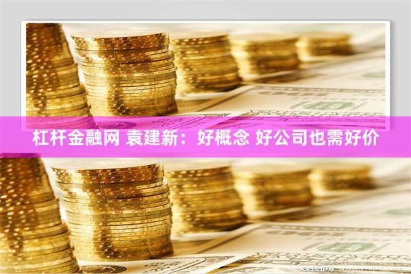 杠杆金融网 袁建新：好概念 好公司也需好价